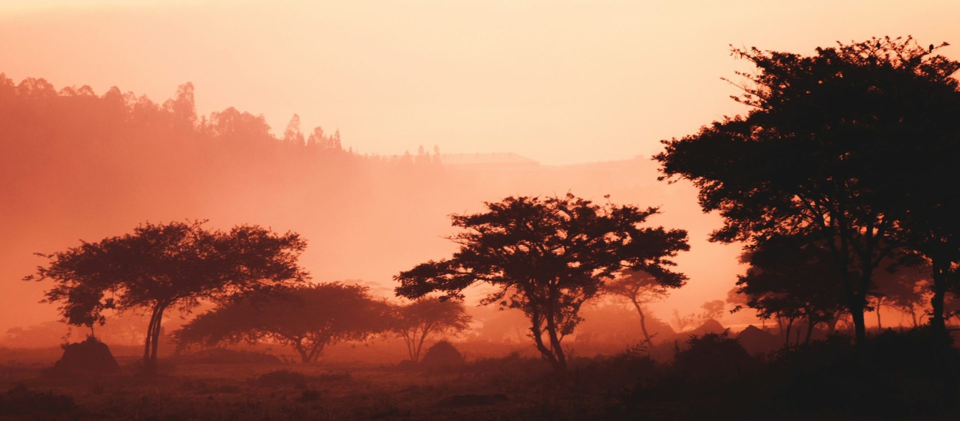maxime-niyomwungeri-z-lNmXoXt-k-unsplash
