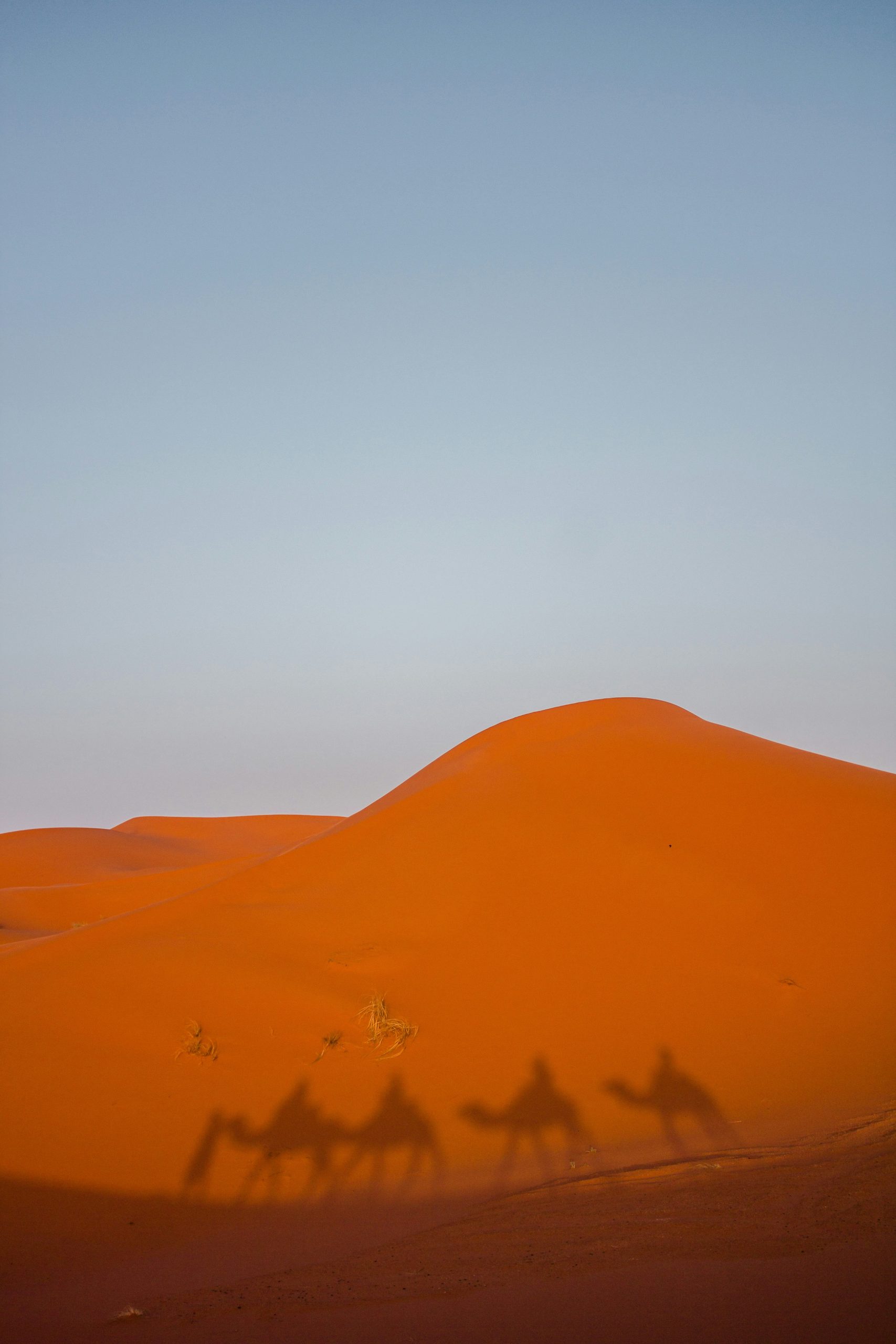 dan-calderwood-zc4P7snPpME-unsplash