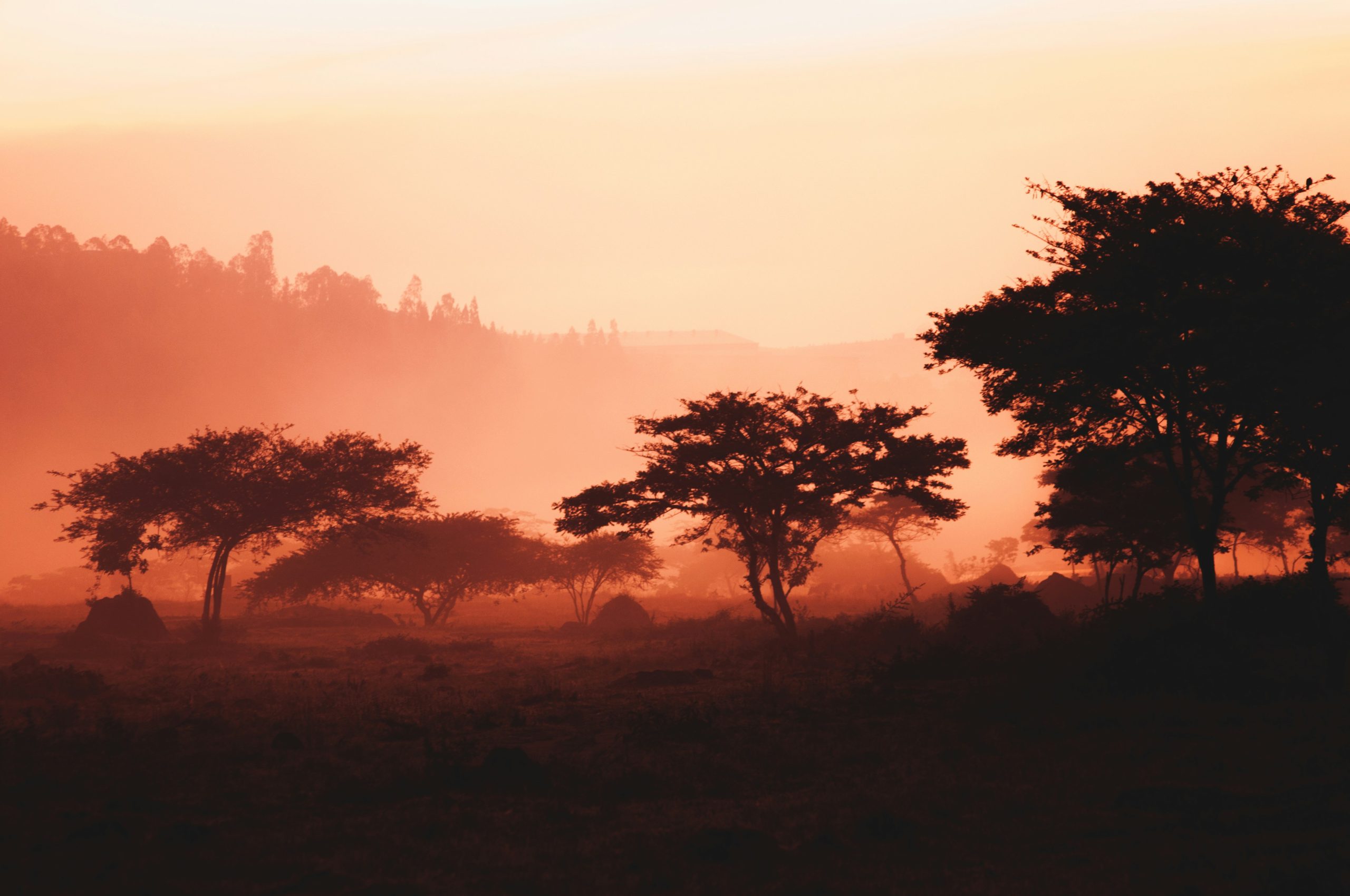 maxime-niyomwungeri-z-lNmXoXt-k-unsplash